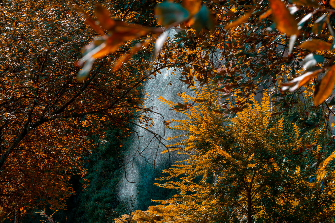 Seven Steps to the Highest Kind of Faith